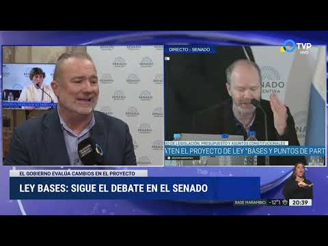 Ley Bases en el Senado: el Gobierno evalúa cambios en el proyecto