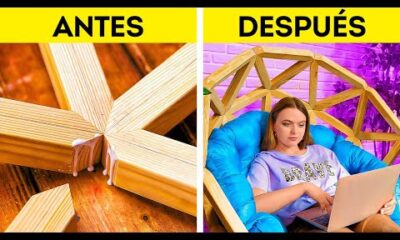 ¿Listo para Transformar Tu Patio Trasero? ¡Aprende Cómo con Estas Increíbles Manualidades DIY! 🌼🔨