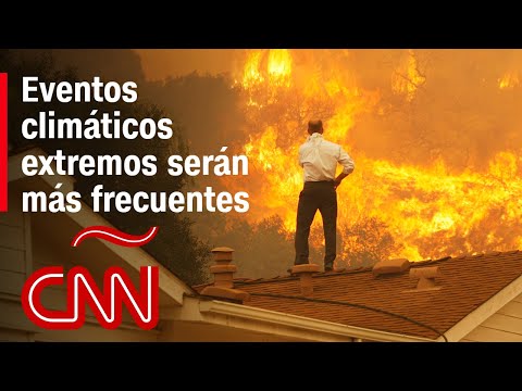 «Nunca habían sido tan extremos estos eventos climáticos», dice experta