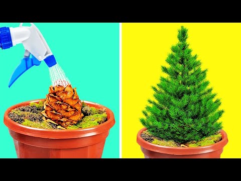 Paraíso DIY del Amante de las Plantas 🌱: Transforma tu Espacio con Manualidades de Jardín 🌸🏡