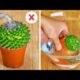 Proyectos de Plantas DIY: Ideas Creativas para tu Jardín 🌼 | ¡Simple y Fresco!