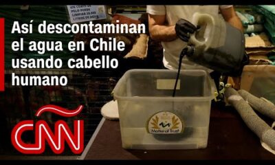 Así descontaminan el agua en Chile usando cabello humano