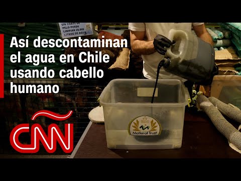 Así descontaminan el agua en Chile usando cabello humano