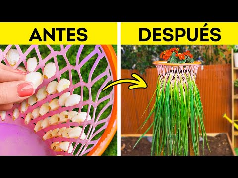 Cómo cultivar tus propios alimentos frescos en casa 🌱🏡 ¡Trucos de jardinería geniales! Cómo cultivar tus propios alimentos frescos en casa 🌱🏡 ¡Trucos de jardinería geniales!