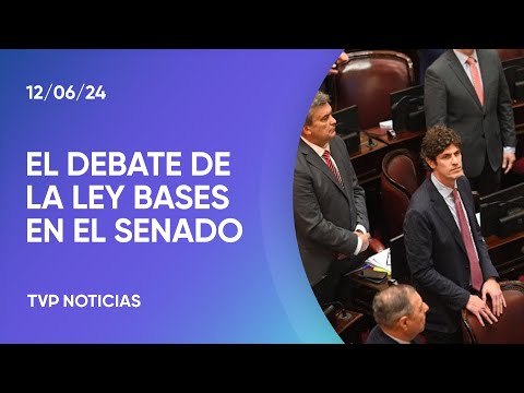 Cómo viene la sesión especial por la ley Bases en el Senado
