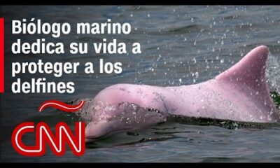 Conoce a Fernando Trujillo, un biólogo marino colombiano galardonado por National Geographic