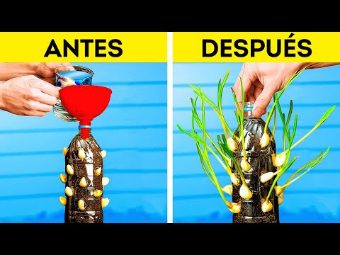 Cultivando alimentos frescos en casa 🌿🏡 Consejos brillantes para la jardinería
