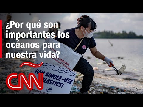 Día Mundial de los Océanos: amenazas y oportunidades para un entorno fundamental en nuestras vidas