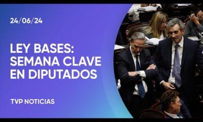 Diputados: el bloque de Pichetto no acompaña las privatizaciones