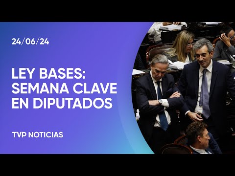 Diputados: el bloque de Pichetto no acompaña las privatizaciones