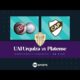 EN VIVO: UAI Urquiza vs. Platense – Fecha 14 Torneo Apertura 2024 – FÃºtbol femenino