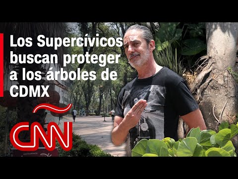 Este grupo busca proteger a los árboles de Ciudad de México. Así quieren lograrlo Este grupo busca proteger a los árboles de Ciudad de México. Así quieren lograrlo