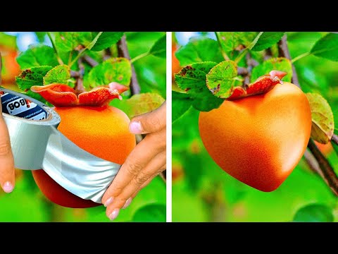 🌿 Decora con la Naturaleza: Transforma tu Espacio con Estos Trucos e Ideas de Plantación 🌱🌸 🌿 Decora con la Naturaleza: Transforma tu Espacio con Estos Trucos e Ideas de Plantación 🌱🌸