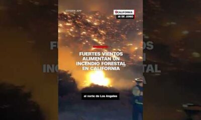 Fuertes vientos aumentan un incendio forestal en #California