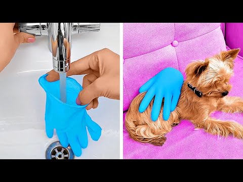 Ideas Geniales para Padres de Mascotas: Consejos, Trucos y Manualidades que Necesitas Conocer 🐾✨