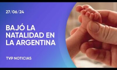 La cantidad de nacimeintos en la Argentina cayó 36%