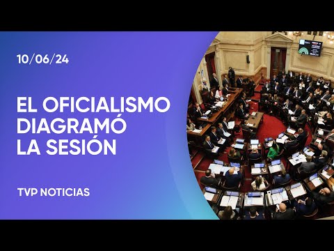 Ley Bases y Paquete Fiscal: se espera una larga discusión en el Senado
