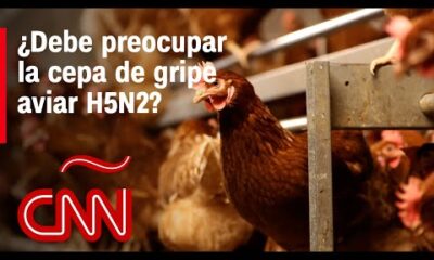 OMS: Paciente con gripe aviar H5N2 no murió por el virus