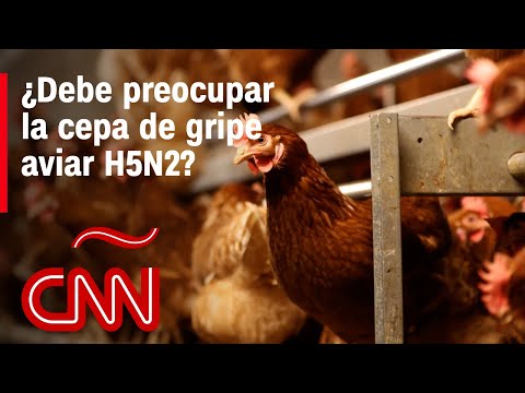 OMS: Paciente con gripe aviar H5N2 no murió por el virus OMS: Paciente con gripe aviar H5N2 no murió por el virus