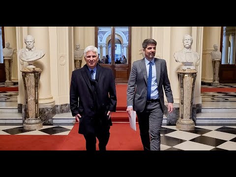 Poggi habla sobre la Ley Bases y el paquete fiscal