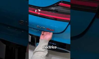 QUÉ TIENEN EN COMÚN LA CARNE DE CERDO Y LOS COCHES ELÉCTRICOS!??