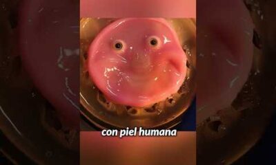 ROBOTS CON PIEL HUMANA!?? Esto sí da yuyu…