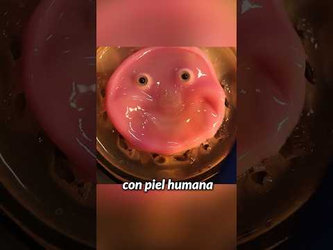 ROBOTS CON PIEL HUMANA!?? Esto sí da yuyu… ROBOTS CON PIEL HUMANA!?? Esto sí da yuyu…