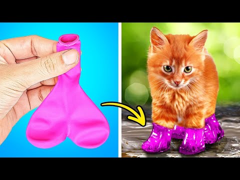 Ser Padres Inteligentes de Mascotas: Hacks y Manualidades DIY para Mantener a tu Mascota Entretenida