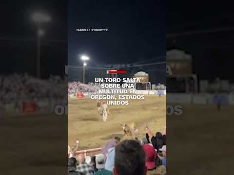 Un #toro salta sobre una multitud en #Oregon, Estados Unidos