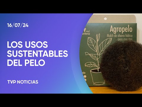 Agropelo y petropelo: los usos del pelo reciclado Agropelo y petropelo: los usos del pelo reciclado