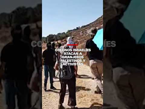 Colonos israelíes atacan a granjeros palestinos y activistas