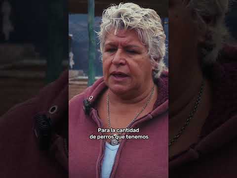 ¡Donamos comida para muchos perritos ! #Philantropia