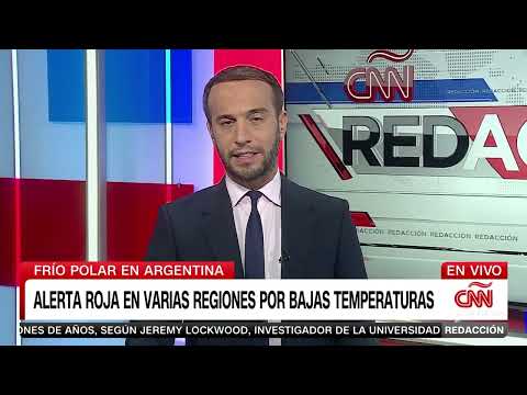 En Argentina hay alerta roja por el frío extremo y los pingüinos caminan por las calles En Argentina hay alerta roja por el frío extremo y los pingüinos caminan por las calles
