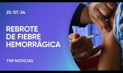 Fiebre hemorrágica en San Nicolás: “Lo ideal es que se vacunen”