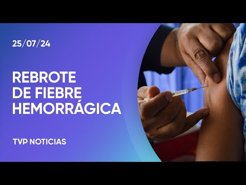 Fiebre hemorrágica en San Nicolás: “Lo ideal es que se vacunen” Fiebre hemorrágica en San Nicolás: “Lo ideal es que se vacunen”