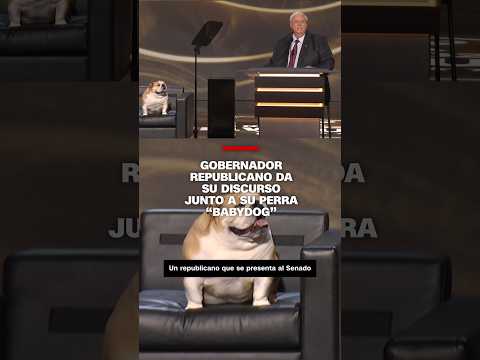 Gobernador republicano da discurso junto a su perra Babydog Gobernador republicano da discurso junto a su perra Babydog