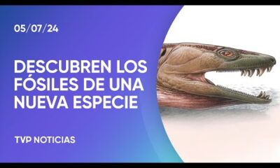 Hallazgo paleontológico que desafía la hipótesis sobre la evolución