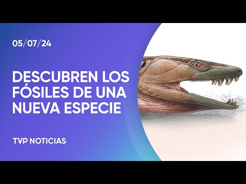 Hallazgo paleontológico que desafía la hipótesis sobre la evolución Hallazgo paleontológico que desafía la hipótesis sobre la evolución