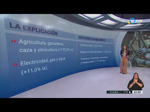 ¿La actividad económica tocó piso?