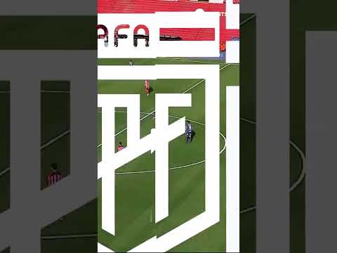 LA ASISTENCIA DEL PULGA ES CINE ð LA ASISTENCIA DEL PULGA ES CINE ð