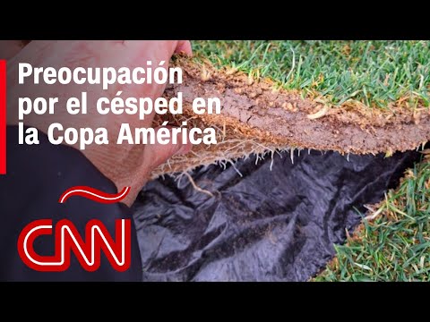 La Conmebol responde ante la preocupación sobre la calidad del césped en la Copa América La Conmebol responde ante la preocupación sobre la calidad del césped en la Copa América