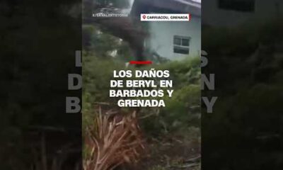 La devastación que dejó el huracán #Beryl en Barbados y Grenada