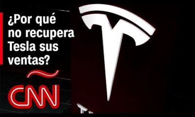 La imagen de Elon Musk, ¿influye en el destino de Tesla