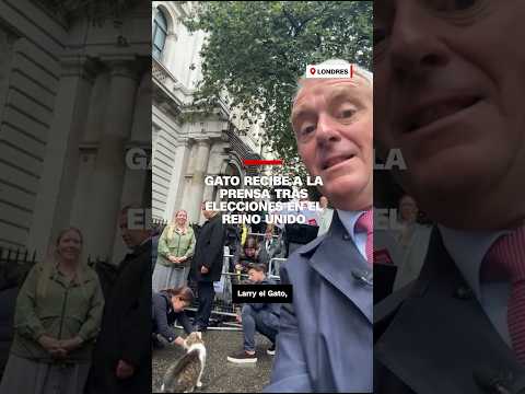 Larry, el gato de Downing Street, recibe a la prensa tras elecciones en el Reino Unido Larry, el gato de Downing Street, recibe a la prensa tras elecciones en el Reino Unido