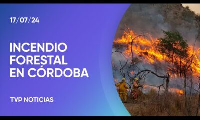 Más de 3.000 hectáreas quemadas en Córdoba por un incendio forestal