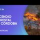 Más de 3.000 hectáreas quemadas en Córdoba por un incendio forestal