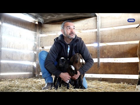 Pablo Cangiano, presidente de Sol Puntano Pablo Cangiano, presidente de Sol Puntano