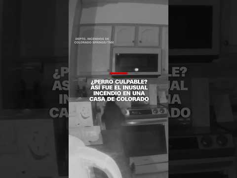 ¿Perro culpable? Así fue el inusual incendio en una casa de Colorado ¿Perro culpable? Así fue el inusual incendio en una casa de Colorado