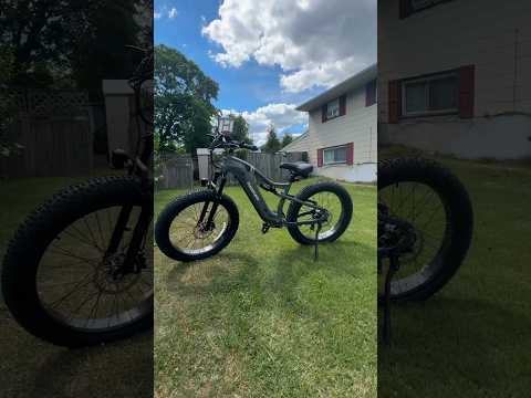 PuckiPuppy Labrador todo terreno e-Bike #shorts PuckiPuppy Labrador todo terreno e-Bike #shorts