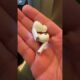 Samsung Galaxy Buds 3 Pro unboxing #shorts